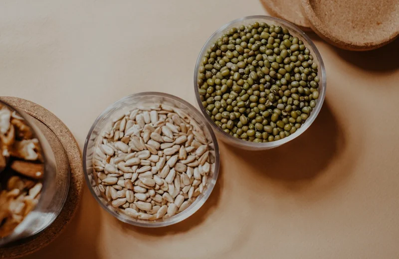 Protein